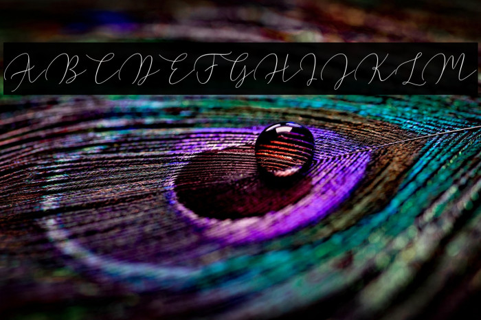 WaltyScript Example 1