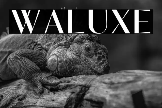 Waluxe Font examples