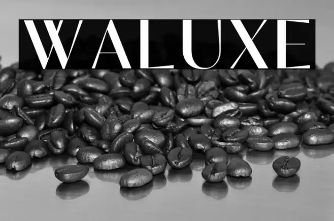 Waluxe Font examples
