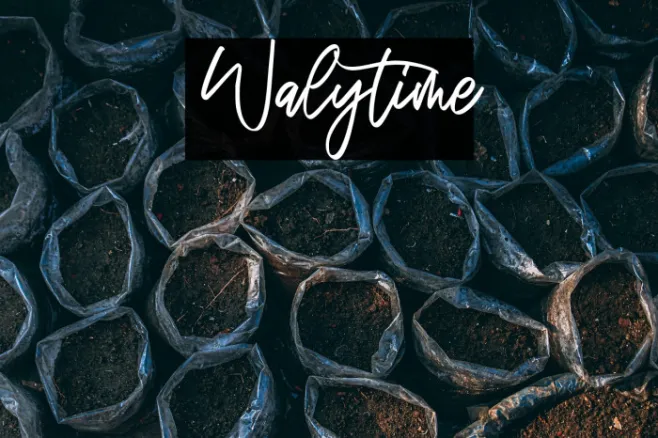 Walytime Example 1