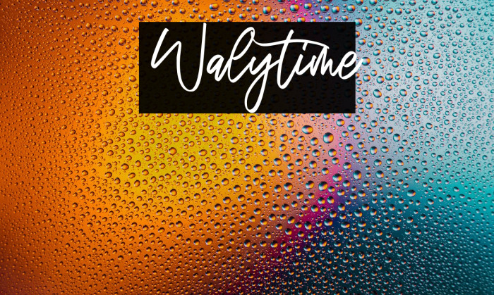 Walytime Example 1