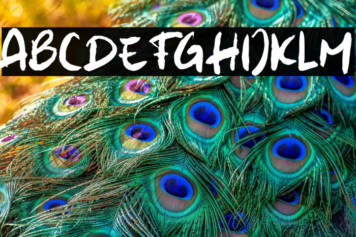 Wamatto Rough Example 2