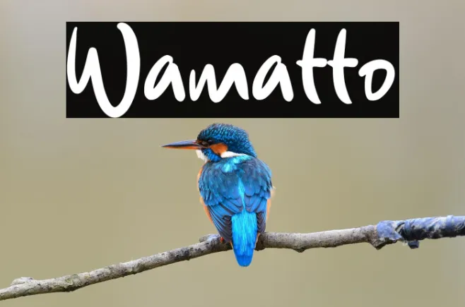Wamatto Example 1