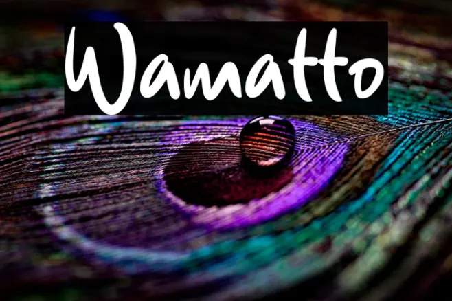 Wamatto Example 2