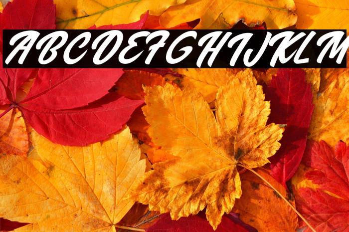 Wanabees Personal Use Example 1