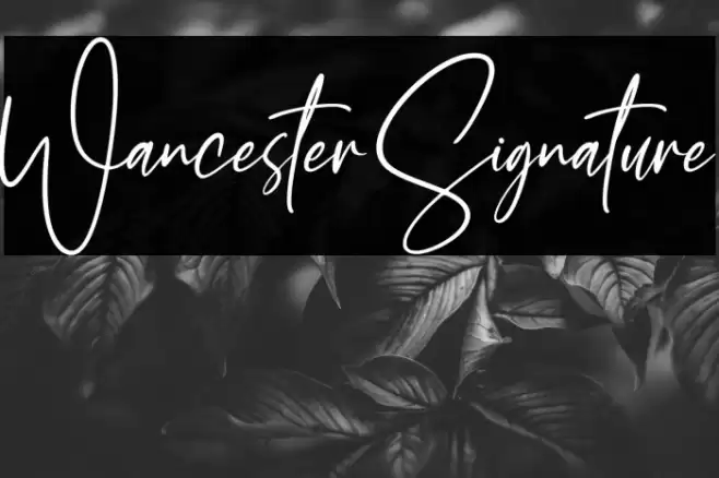 Wancester Signature Font examples