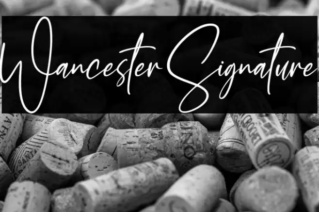 Wancester Signature Font examples