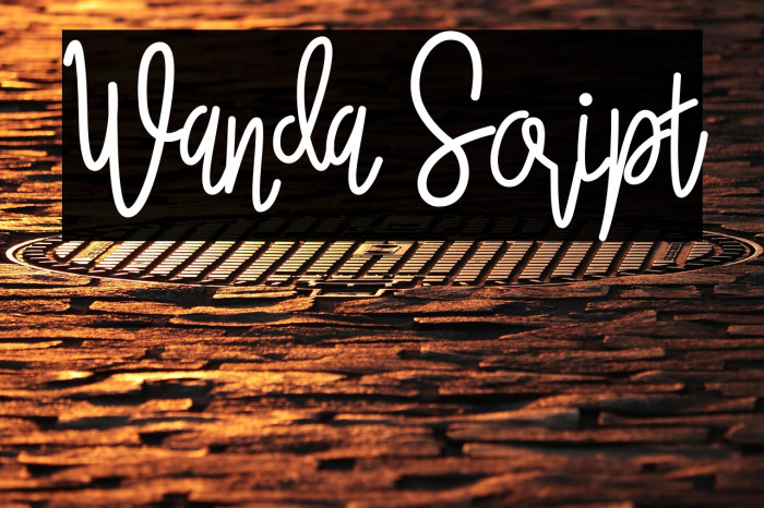 Wanda Script Example 2