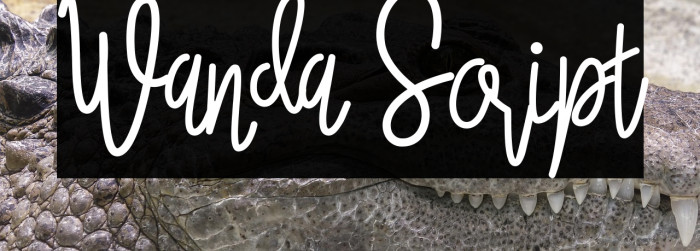 Wanda Script Example 3