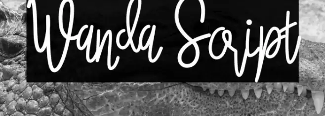 Wanda Script Font examples