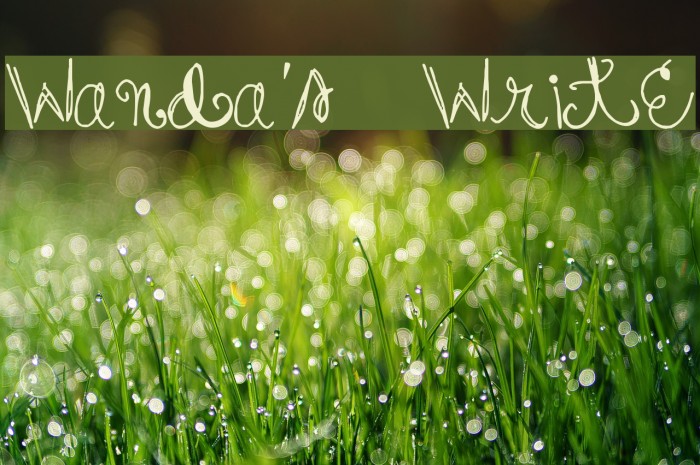 Wanda's Write Example 1