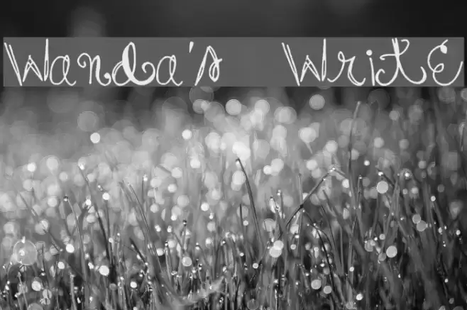 Wanda's Write Font examples