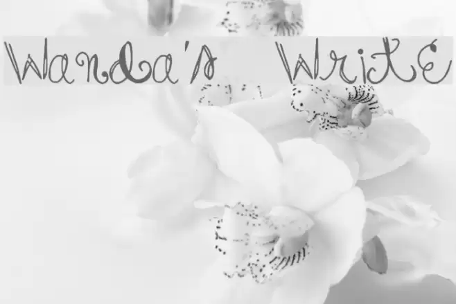 Wanda's Write Font examples