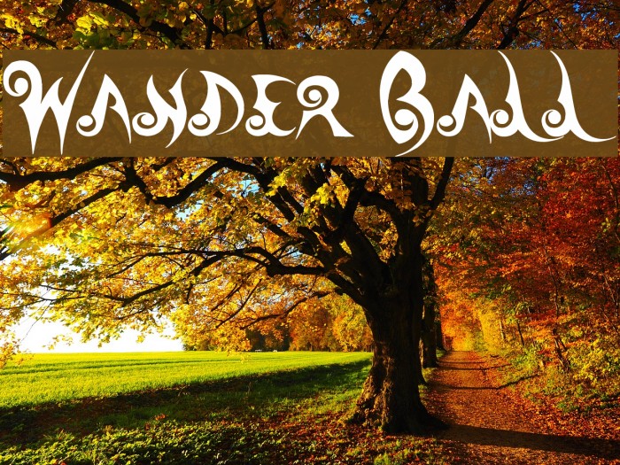 Wander Ball Font examples