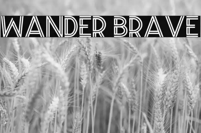 Wander Brave Font examples