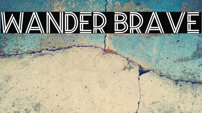 Wander Brave Example 3