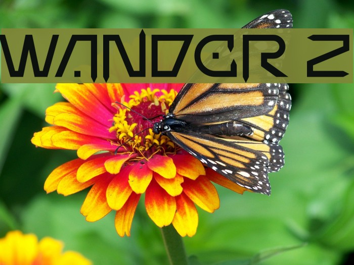 Wander Z Font examples