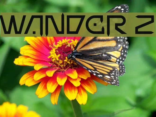 Wander Z Example 1