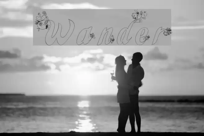 Wander Polices examples