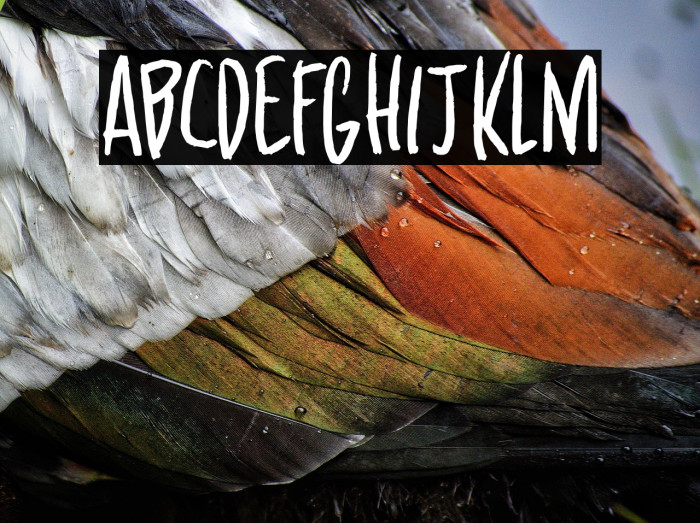 Wandering Pencil DEMO Regular Example 1