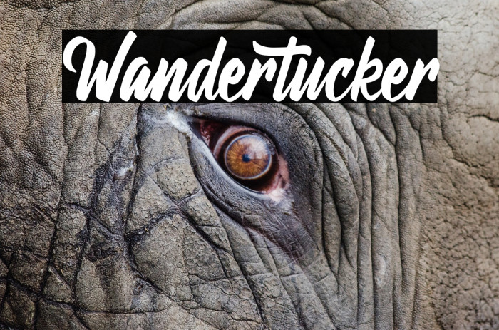 Wandertucker Font examples