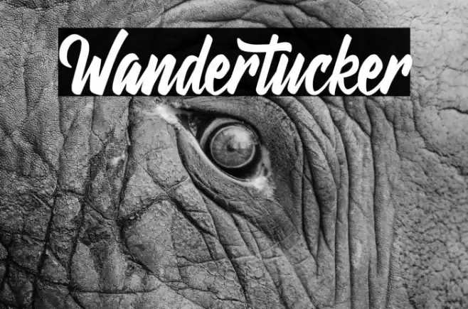 Wandertucker Font examples