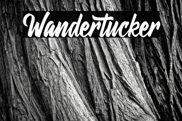Wandertucker Font examples