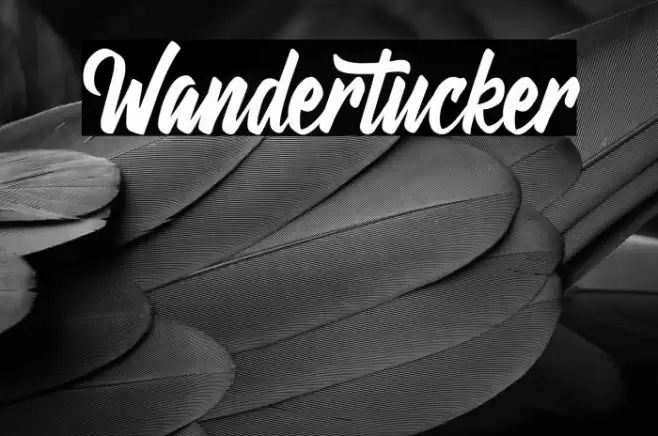 Wandertucker Font examples