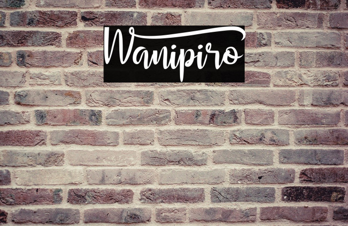 Wanipiro Example 1