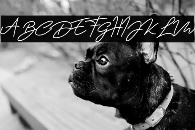 Wanita Cantik Font examples