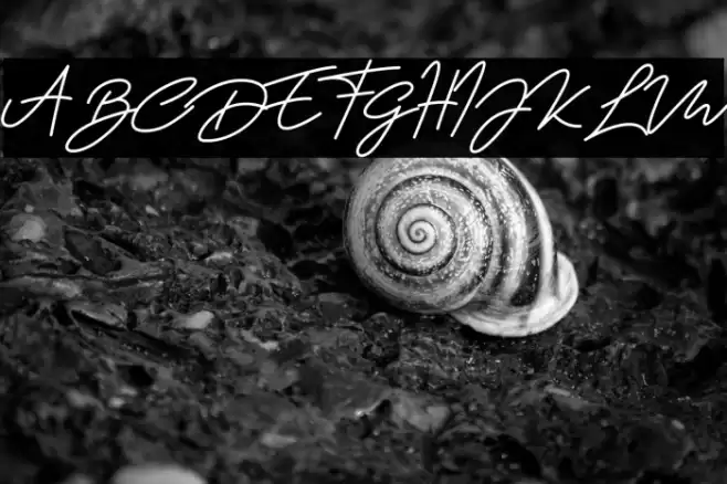 Wanita Cantik Font examples