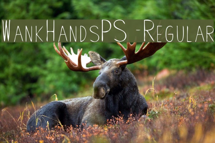 WankHandsPS-Regular Font examples