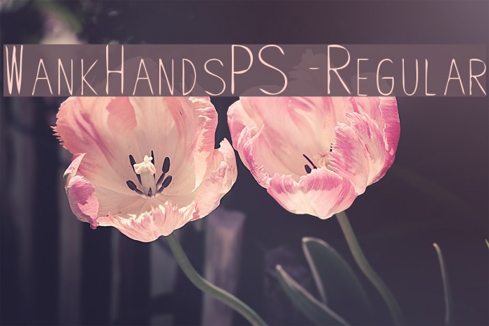 WankHandsPS-Regular Font examples