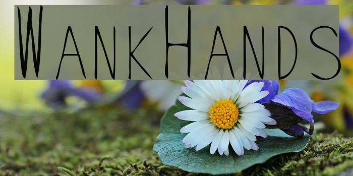 WankHands Fonte examples