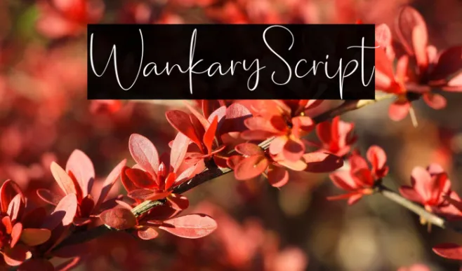 WankaryScript Example 1