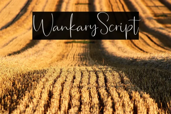 WankaryScript Example 2
