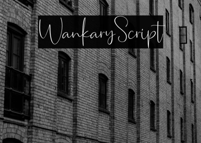 WankaryScript Example 3