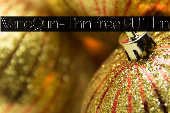 WanoQuin-Thin Free PU Thin Example 2