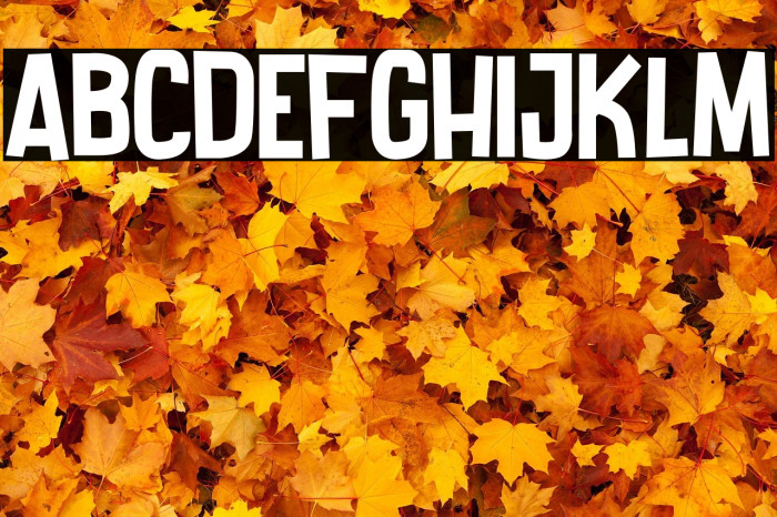 Want Coffee Example 1