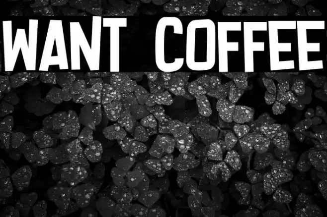 Want Coffee Font examples