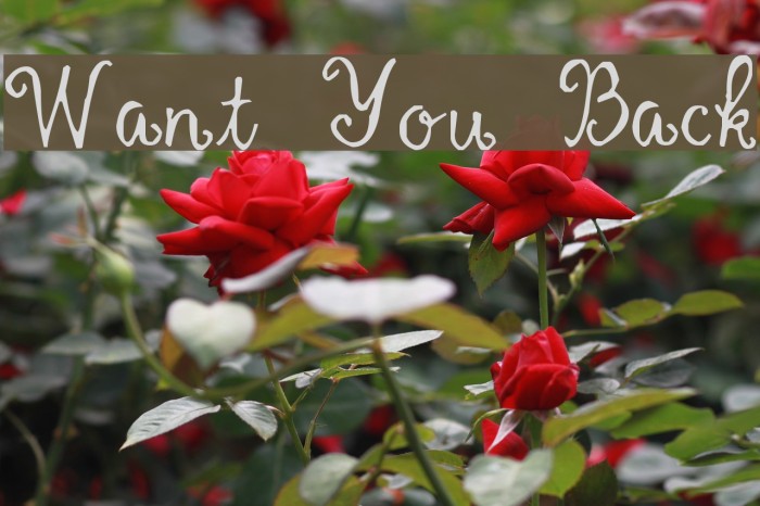 Want You Back Font examples