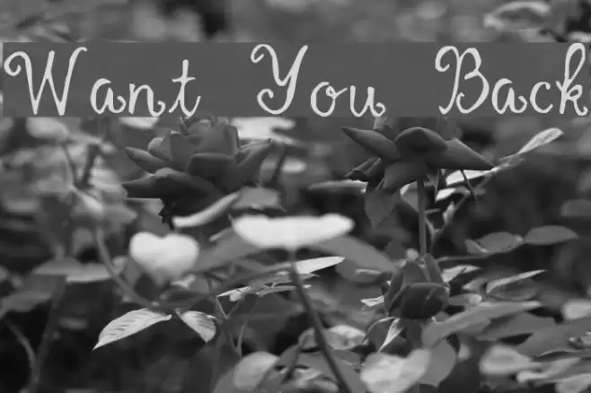 Want You Back フォント examples