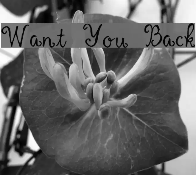 Want You Back フォント examples