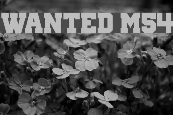 Wanted M54 Font examples