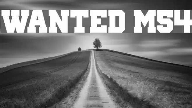Wanted M54 Font examples