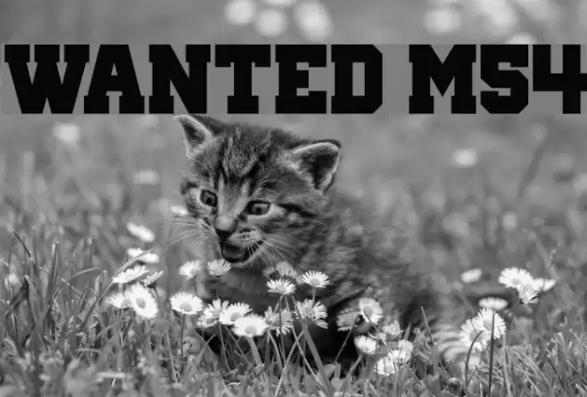Wanted M54 Font examples