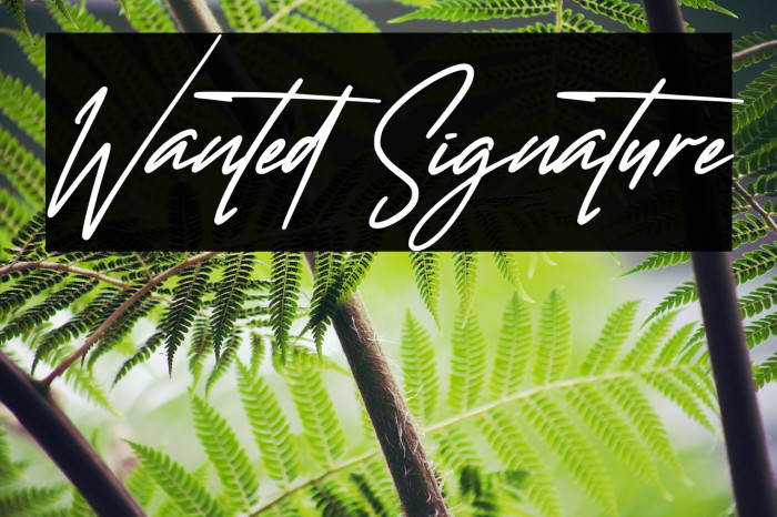Wanted Signature Font examples