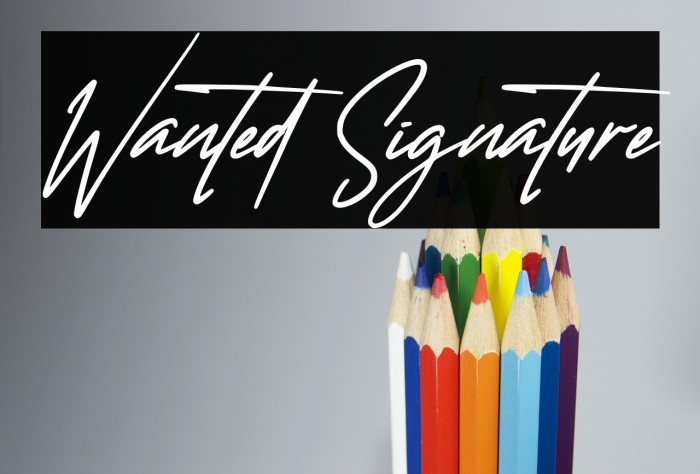 Wanted Signature Font examples