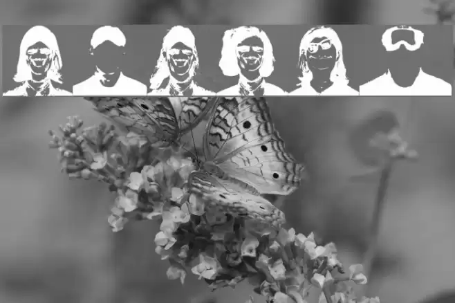 Wanted Font examples