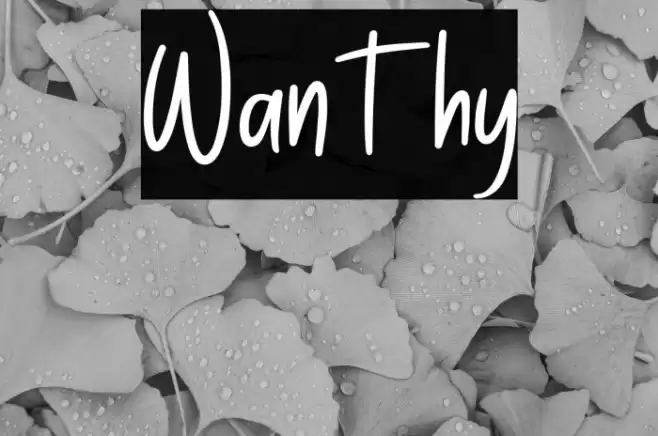 Wanthy Font examples